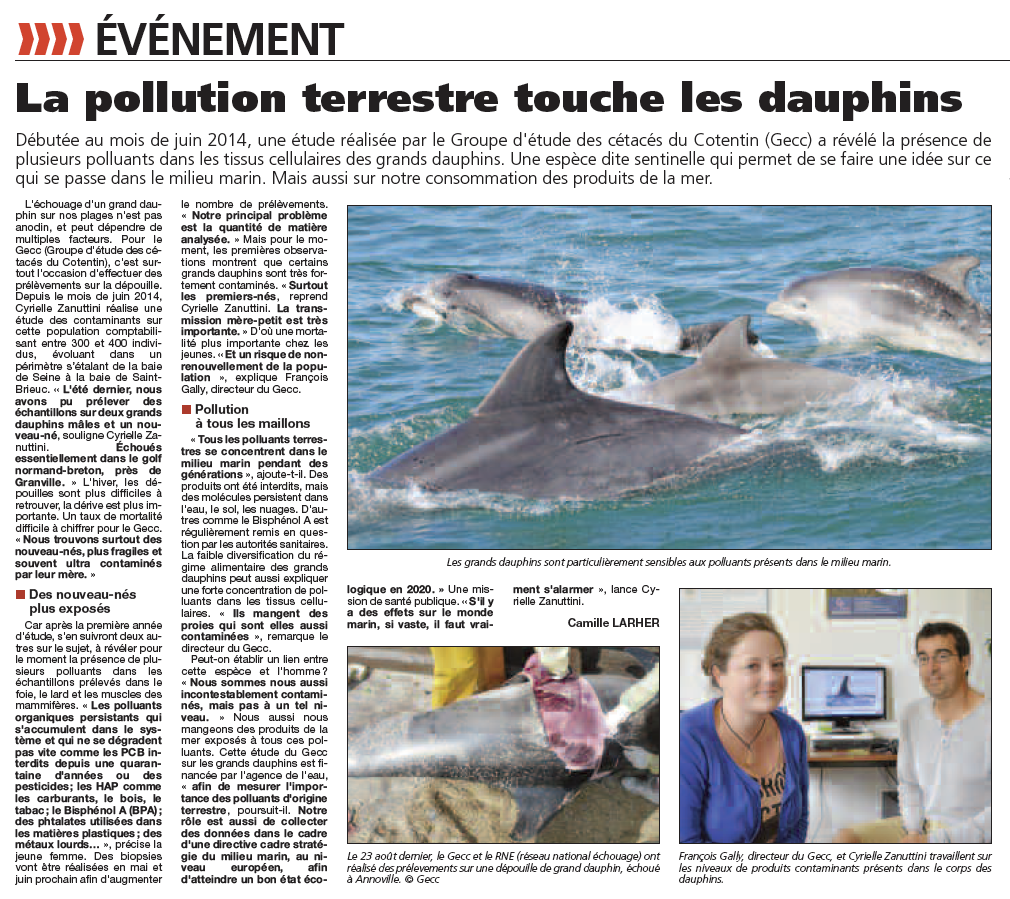 Pollution_dauphin_PresseManche_3avril2015