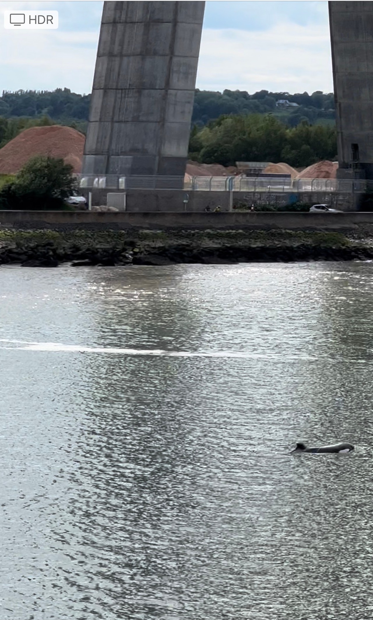 UNE ORQUE DANS LA SEINE - GECC